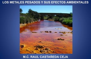 LOS METALES PESADOS Y SUS EFECTOS AMBIENTALES
M.C. RAUL CASTAÑEDA CEJA
 