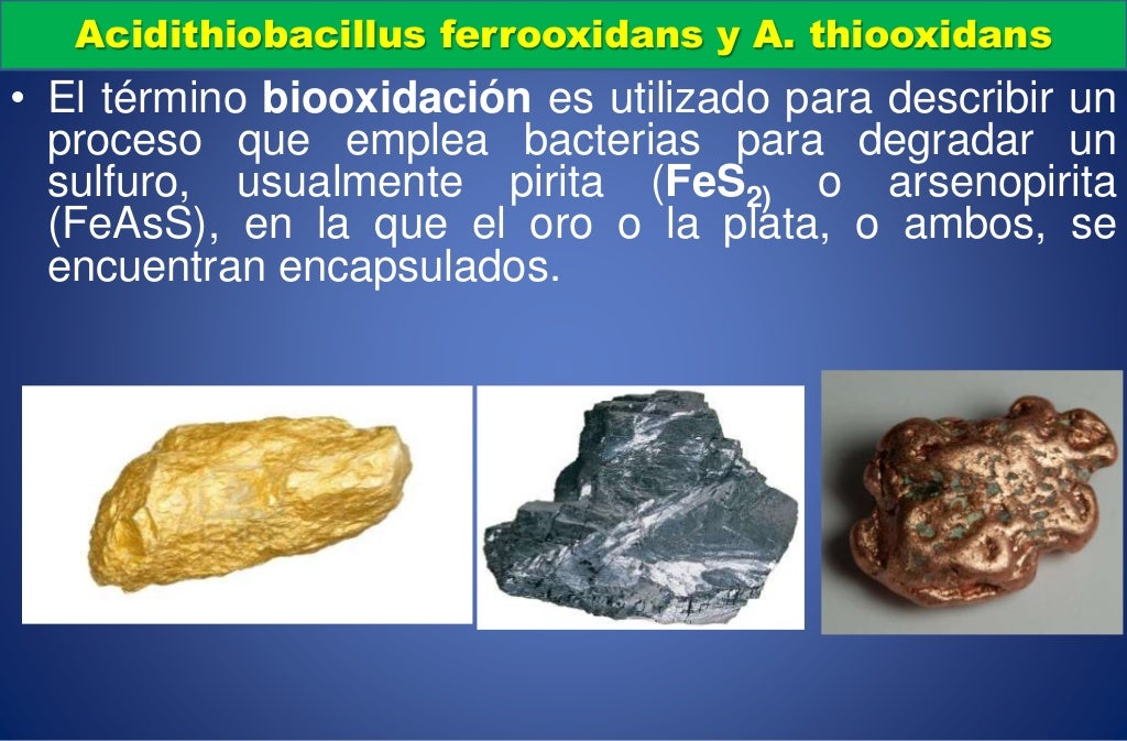 Los metales pesados y sus efectos ambientales. Los metales pesados y sus efectos ambientales.