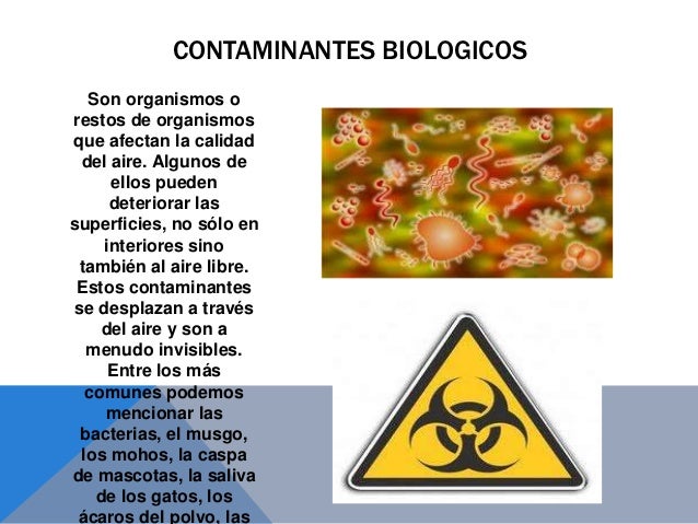 Las máscaras para el estrechamiento de los tiempos sobre la persona a la piel seca