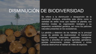 DISMINUCIÓN DE BIODIVERSIDAD
Se refiere a la disminución o desaparición de la
diversidad biológica, entendida esta última como la
variedad de seres vivos que habitan el planeta, sus
distintos niveles de organización biológica y su
respectiva variabilidad genética, así como los patrones
naturales presentes en los ecosistemas.
La pérdida y deterioro de los hábitats es la principal
causa de pérdida de biodiversidad. Al transformar
selvas, bosques, matorrales, pastizales, manglares,
lagunas, y arrecifes en campos agrícolas, ganaderos,
granjas camaroneras, presas, carreteras y zonas
urbanas destruimos el hábitat de miles de especies.
 