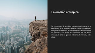 La erosión antrópica
Se produce por la actividad humana que impacta en el
desgaste y en el deterioro del suelo como, por ejemplo,
la agricultura intensiva, la deforestación, la construcción
de canales y de rutas, la ampliación de las zonas
urbanas, la cría de ganado intensivo, la minería, entre
otros.
 