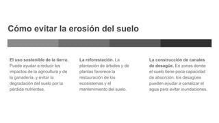 Cómo evitar la erosión del suelo
El uso sostenible de la tierra.
Puede ayudar a reducir los
impactos de la agricultura y de
la ganadería, y evitar la
degradación del suelo por la
pérdida nutrientes.
La reforestación. La
plantación de árboles y de
plantas favorece la
restauración de los
ecosistemas y el
mantenimiento del suelo.
La construcción de canales
de desagüe. En zonas donde
el suelo tiene poca capacidad
de absorción, los desagües
pueden ayudar a canalizar el
agua para evitar inundaciones.
 