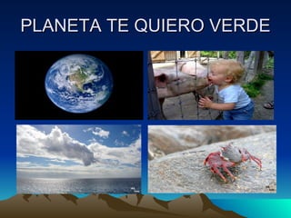 PLANETA TE QUIERO VERDE 