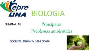 BIOLOGIA
Principales
Problemas ambientales
SEMANA 16
DOCENTE: MIRIAM N. VELA CCAPA
 