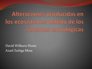 David Wilburn Flores
Azael Zuñiga Mora
 