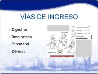 VÍAS DE INGRESO 
o Digestiva 
o Respiratoria 
o Parenteral 
o Dérmica 
 