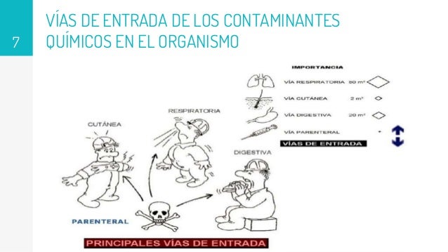 Contaminantes quimicos