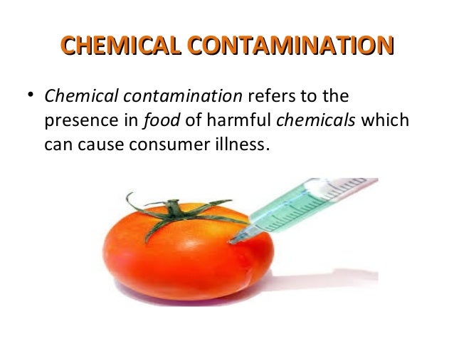 Can Antibiotics Cause Food Allergies Can Antibiotics Cause Food Allergies