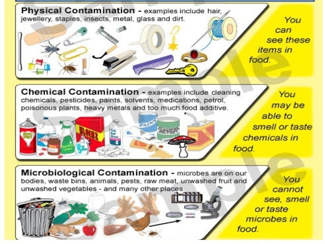 The Effects Of Chemical Contamination On The