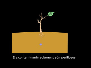 Els contaminants solament sn perillosos 