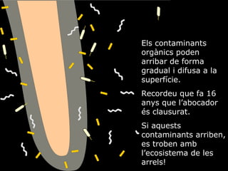 Els contaminants orgnics poden arribar de forma gradual i difusa a la superfcie.  Recordeu que fa 16 anys que labocador s clausurat. Si aquests contaminants arriben, es troben amb lecosistema de les arrels! 