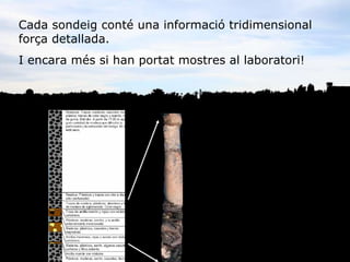 Cada sondeig cont una informaci tridimensional for?a detallada.  I encara ms si han portat mostres al laboratori! 