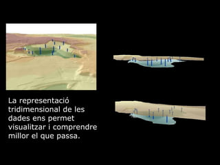 La representaci tridimensional de les dades ens permet visualitzar i comprendre millor el que passa. 