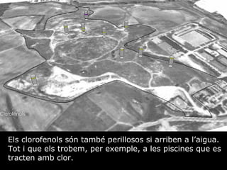 Els clorofenols sn tamb perillosos si arriben a laigua. Tot i que els trobem, per exemple, a les piscines que es tracten amb clor.  