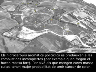 Els hidrocarburs aromtics policclics es produeixen a les combustions incomplertes (per exemple quan fregim el bacon massa fort). Per aix els que mengen carns massa cuites tenen major probabilitat de tenir cncer de colon. 