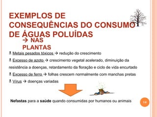    NAS PLANTAS EXEMPLOS DE CONSEQUÊNCIAS DO CONSUMO DE ÁGUAS POLUÍDAS Metais pesados tóxicos    redução do crescimento Excesso de azoto    crescimento vegetal acelerado, diminuição da resistência a doenças, retardamento da floração e ciclo de vida encurtado Excesso de ferro    folhas crescem normalmente com manchas pretas Vírus     doenças variadas Nefastas  para a  saúde  quando consumidas por humanos ou animais 