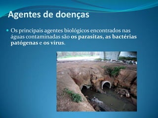 Agentes de doençasOs principais agentes biológicos encontrados nas águas contaminadas são os parasitas, as bactérias patógenas e os vírus.