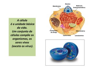 A célula
é a unidade básica
da vida.
Um conjunto de
células compõe os
organismos, os
seres vivos
(exceto os vírus).
 