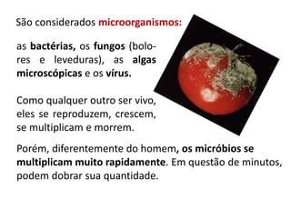 as bactérias, os fungos (bolo-
res e leveduras), as algas
microscópicas e os vírus.
Como qualquer outro ser vivo,
eles se reproduzem, crescem,
se multiplicam e morrem.
Porém, diferentemente do homem, os micróbios se
multiplicam muito rapidamente. Em questão de minutos,
podem dobrar sua quantidade.
São considerados microorganismos:
 