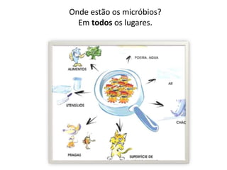 Onde estão os micróbios?
Em todos os lugares.
 