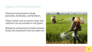 Stringy Rice Contaminated Contaminated Rice for environment Zahra Mh | PPTX