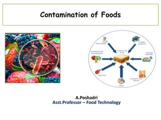 Contamination of Foods
A.Poshadri
Asst.Professor – Food Technology
 
