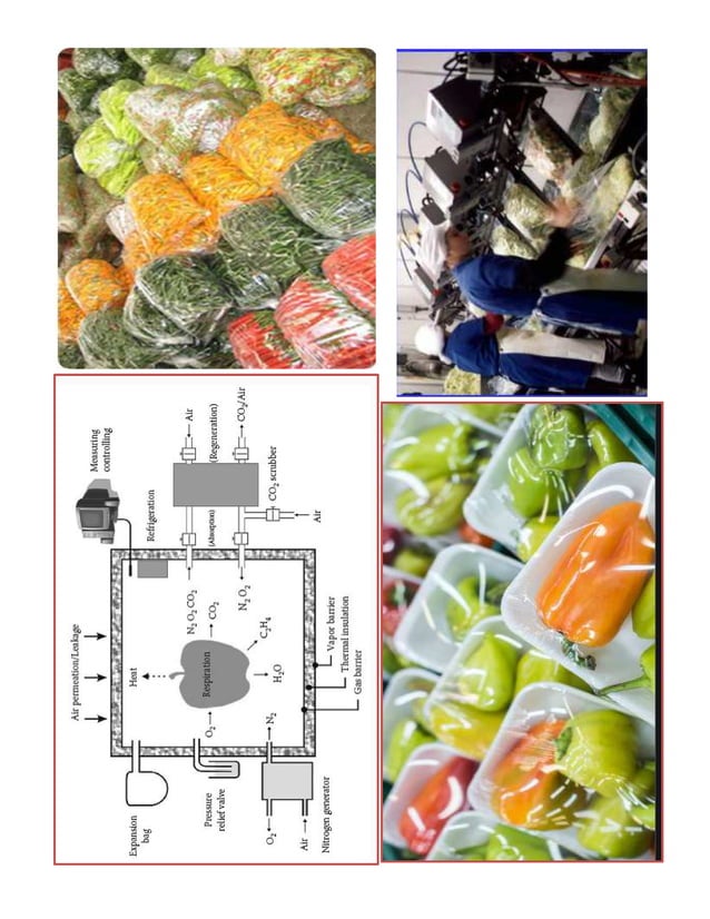 Contamination, preservation, and spoilage of fruits and vegetables
