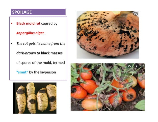 What Causes Fruits And Vegetables To Decompose? – CGSSON