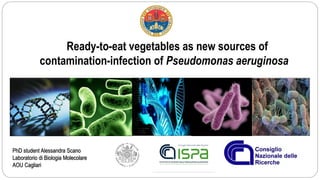Ready-to-eat vegetables as new sources of
contamination-infection of Pseudomonas aeruginosa
PhD student Alessandra Scano
Laboratorio di Biologia Molecolare
AOU Cagliari
 
