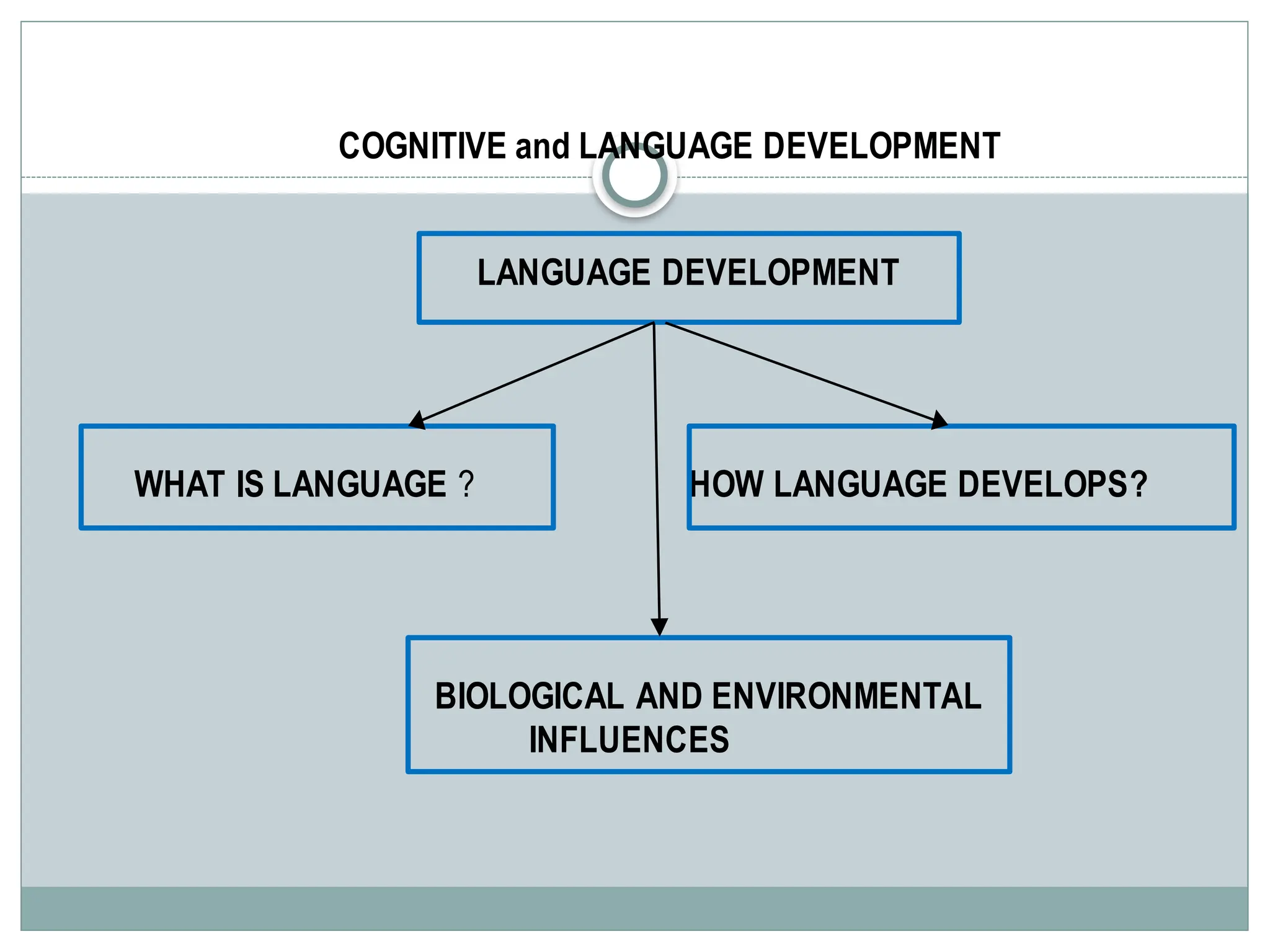 COGNITIVE and LANGUAGE DEVELOPMENT
LANGUAGE DEVELOPMENT
WHAT IS LANGUAGE ? HOW LANGUAGE DEVELOPS?
BIOLOGICAL AND ENVIRONMENTAL
INFLUENCES
 