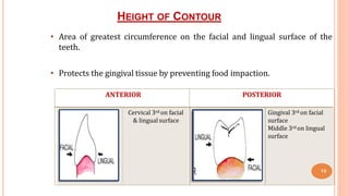 HEIGHT OF CONTOUR
10
• Area of greatest circumference on the facial and lingual surface of the
teeth.
• Protects the gingival tissue by preventing food impaction.
ANTERIOR POSTERIOR
Cervical 3rd on facial
& lingual surface
Gingival 3rd on facial
surface
Middle 3rd on lingual
surface
 