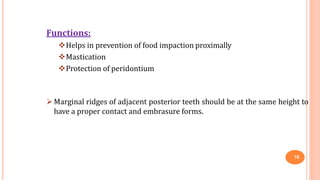Functions:
Helps in prevention of food impaction proximally
Mastication
Protection of peridontium
16
Marginal ridges of adjacent posterior teeth should be at the same height to
have a proper contact and embrasure forms.
 