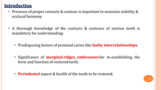 • Presence of proper contacts & contour is important to maintain stability &
occlusal harmony.
• A thorough knowledge of the contacts & contours of various teeth is
mandatory for understanding:
• Predisposing factors of proximal caries like faulty interrelationships.
• Significance of marginal ridges, embrasuresfor re-establishing the
form and function of restored teeth.
• Periodontal aspect & health of the tooth to be restored.
3
Introduction
 