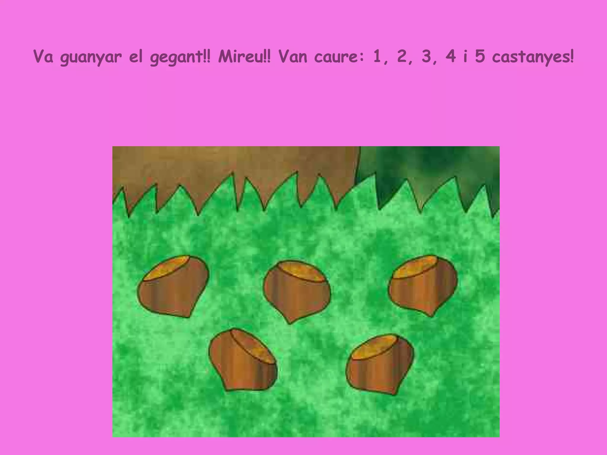 Va guanyar el gegant!! Mireu!! Van caure: 1, 2, 3, 4 i 5 castanyes! 