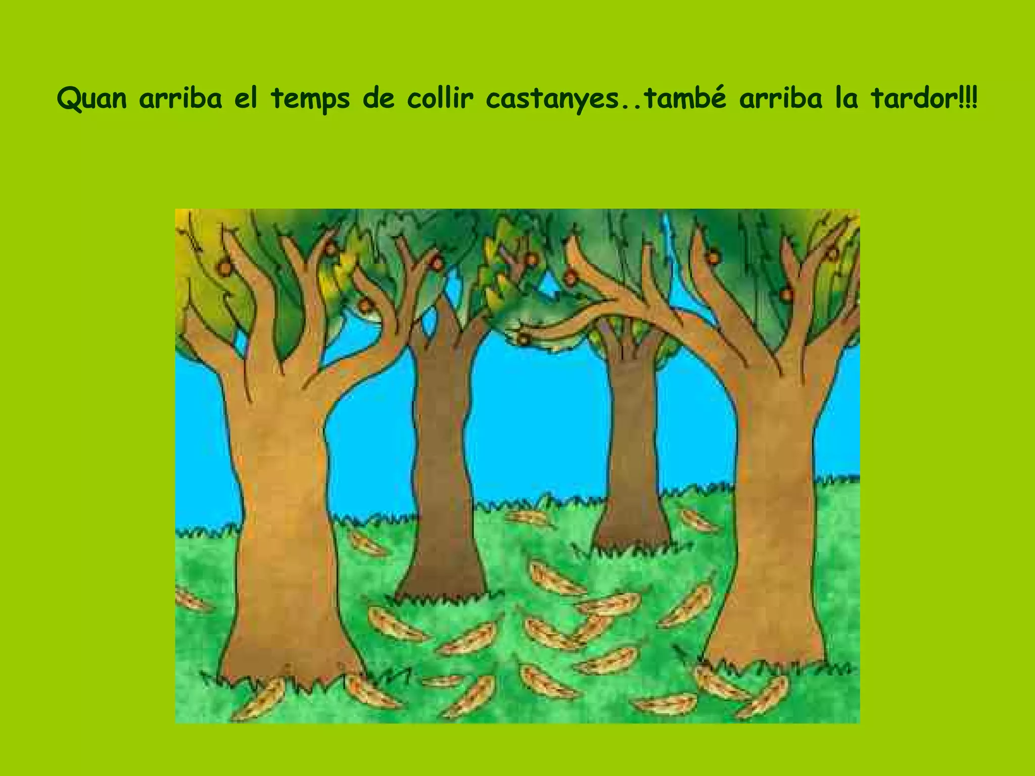 Quan arriba el temps de collir castanyes..també arriba la tardor!!! 