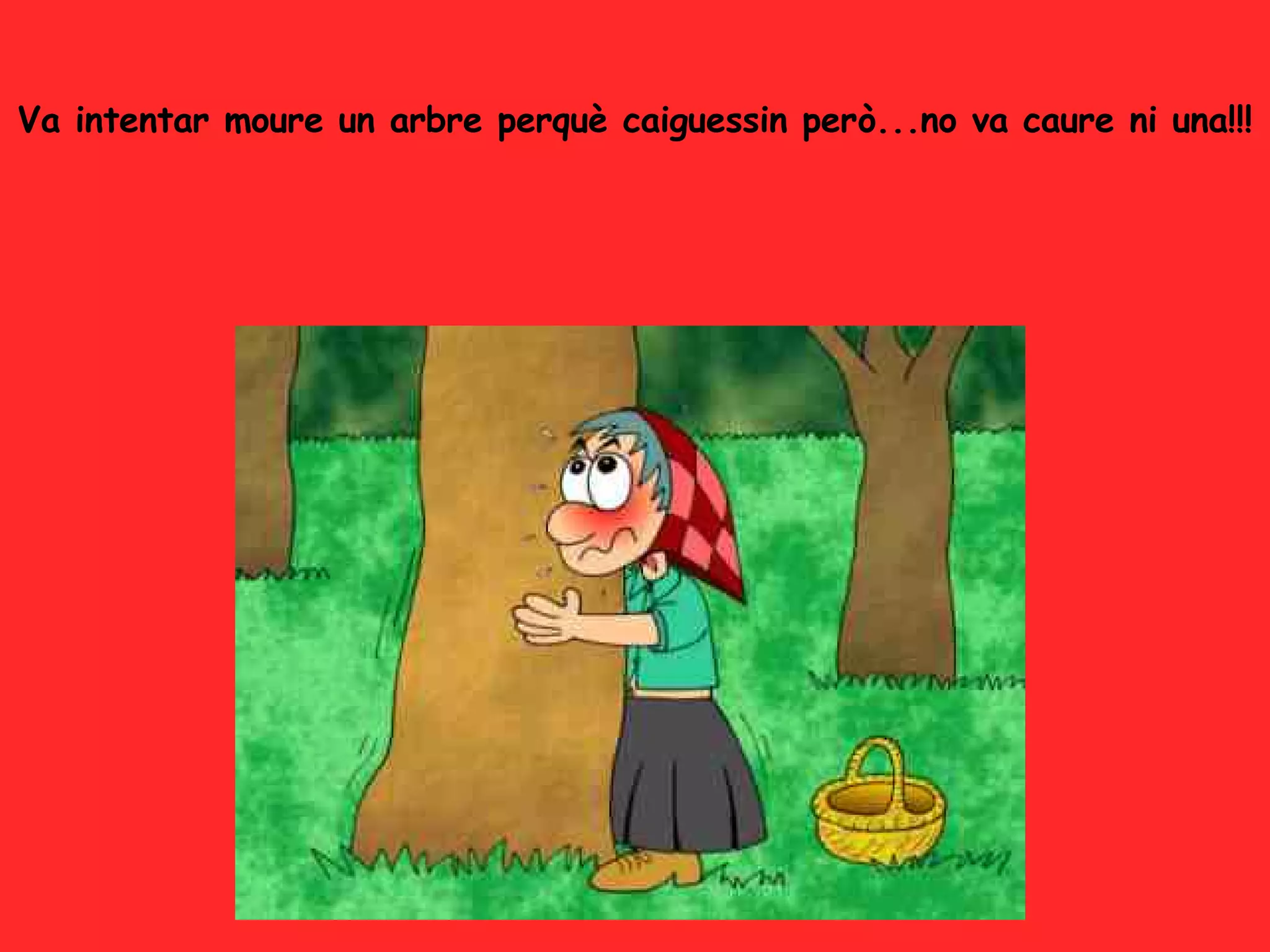 Va intentar moure un arbre perquè caiguessin però...no va caure ni una!!! 