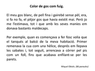 Color de gos com fuig.

El meu gos blanc, de pell fina i gairebé sense pèl, era,
si fa no fa, el pitjor gos que havia existit mai. Però jo
me l’estimava, tot i que amb les seves manies em
donava bastants maldecaps.

Per exemple, quan es començava a fer fosc volia que
el tanqués al balcó de la meva habitació. Primer
remenava la cua com una hèlice, després em llepava
les sabates i, tot seguit, arrencava a córrer pel pis
com un foll, fins que acabava enfilant-se per les
parets.
                                      Miquel Obiols. (86 paraules)
 