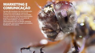 Criação Publicitária