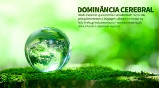 Criação Publicitária