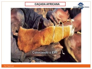 Prof. Paulo Luiz
CAÇADA AFRICANA
 