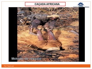 Prof. Paulo Luiz
CAÇADA AFRICANA
 