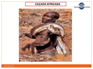 Prof. Paulo Luiz
CAÇADA AFRICANA
 