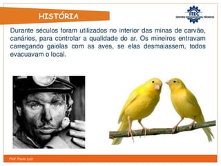 Prof. Paulo Luiz
HISTÓRIA
 