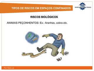 Prof. Paulo Luiz
RISCOS BIOLÓGICOS
TIPOS DE RISCOS EM ESPAÇOS CONFINADOS
ANIMAIS PEÇONHENTOS: Ex.: Aranhas, cobra etc.
 