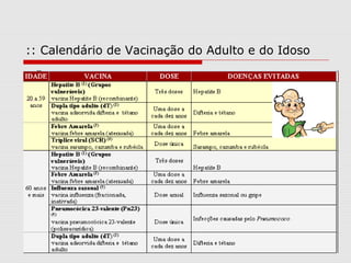 :: Calendário de Vacinação do Adulto e do Idoso
 