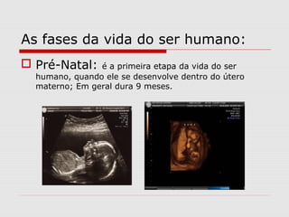 As fases da vida do ser humano:
 Pré-Natal: é a primeira etapa da vida do ser
humano, quando ele se desenvolve dentro do útero
materno; Em geral dura 9 meses.
 