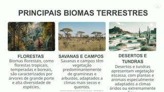Diversidade dos Biomas Terrestres e Gestão Sustentável dos Recursos ...