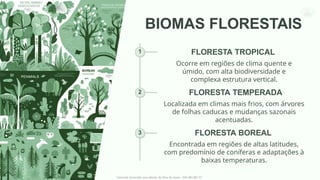 Diversidade dos Biomas Terrestres e Gestão Sustentável dos Recursos ...