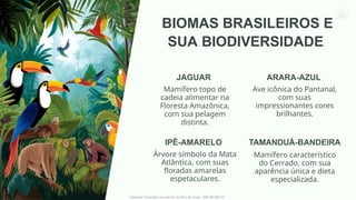 Diversidade dos Biomas Terrestres e Gestão Sustentável dos Recursos ...