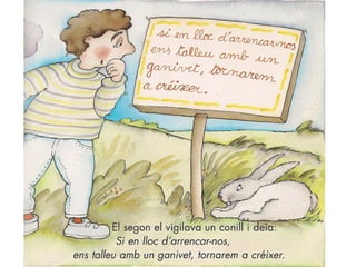 Conte els bolets s'han enfadat